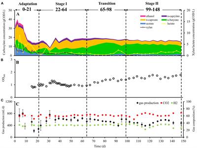 Competition Between Butyrate Fermenters and Chain-Elongating Bacteria Limits the Efficiency of Medium-Chain Carboxylate Production